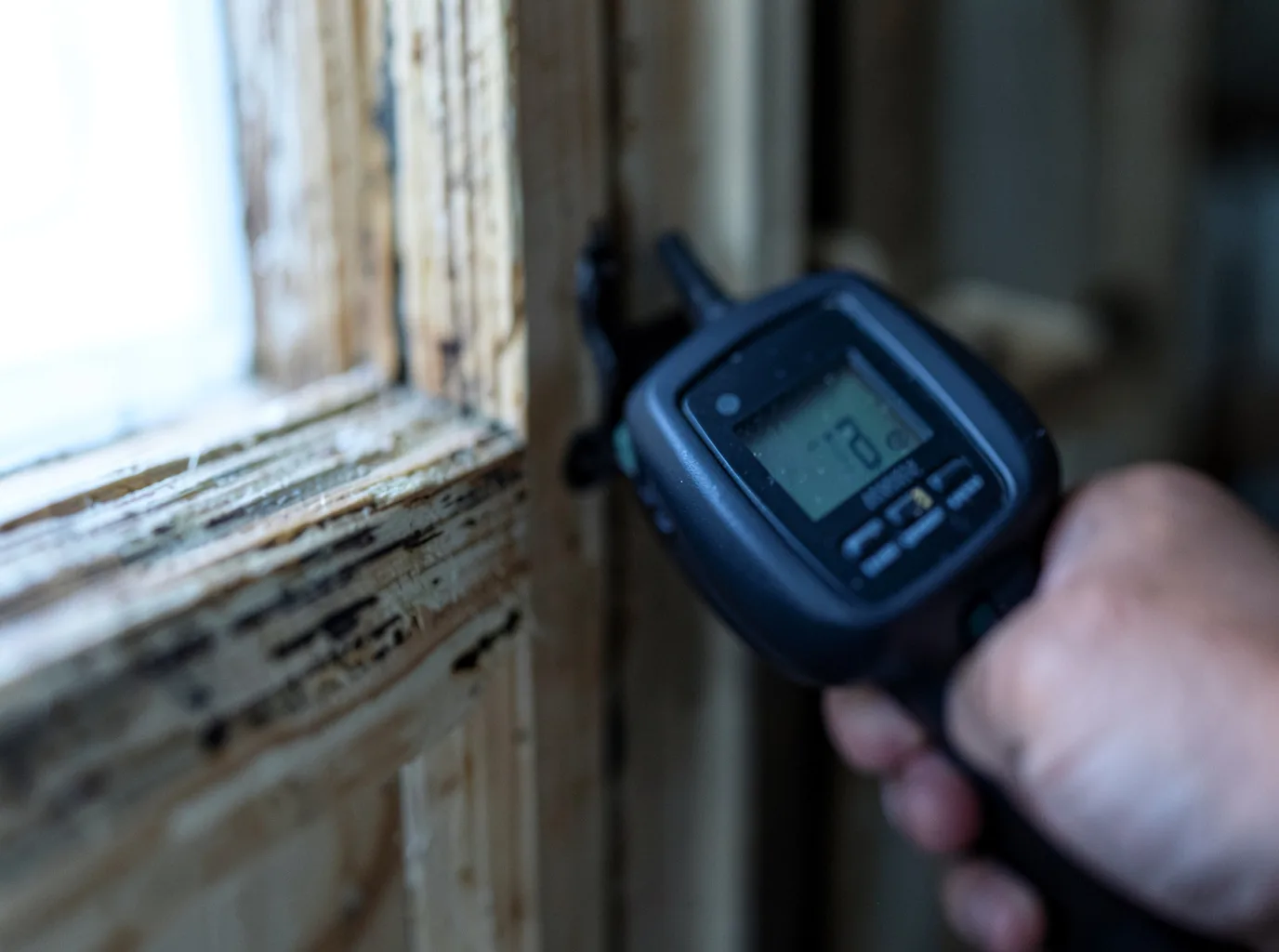 Moisture Inspection And Documentation in Parks, AZ